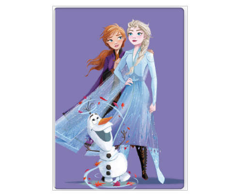 Disney Frozen Purple Polar Pleed, 100x140 cm
